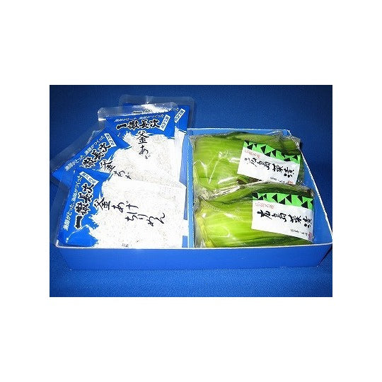 釜あげちりめん・広島菜漬詰合kh3(クール便) 賞味期限約10日