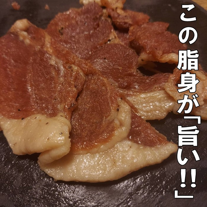 送料込み 広島厳選豚使用 ポークジャーキー 30g×2袋 クロネコ便 同梱不可 キタヒロ ブランド