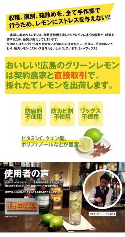 鮮度が違う 良品 国産レモン (ハウス栽培) 2kg (約18玉〜20玉) 産地 大崎上島 文田農園 ※沖縄・北海道は別途800円送料