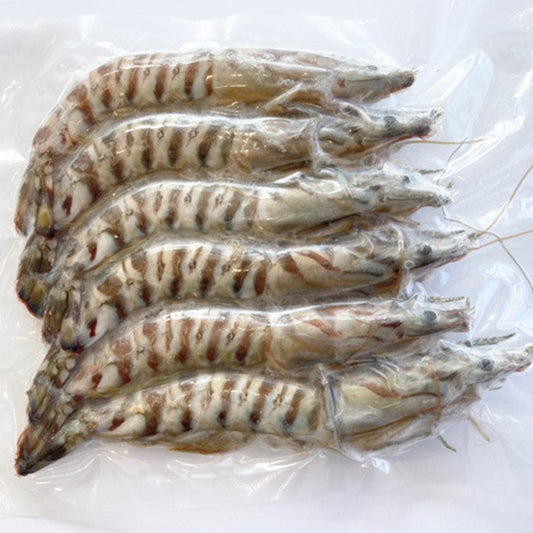 【冷凍便】活〆車海老 250g 約8尾 (大崎上島産 産地直送 送料込)