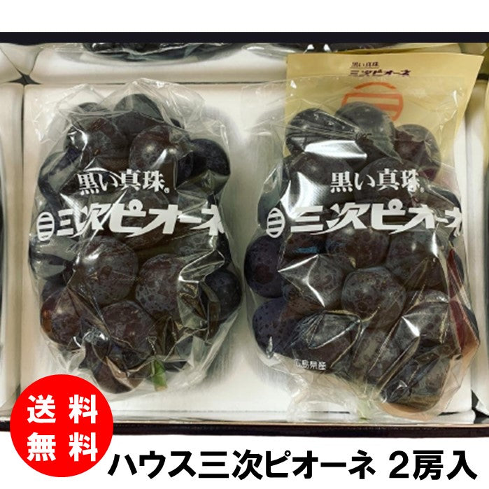 特 ハウス三次ピオーネ2房入 送料無料 クール便配送