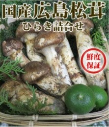 最安値更新 送料無料　広島産松茸・ひらき詰合　400g　100g 9000円計算(税抜き)