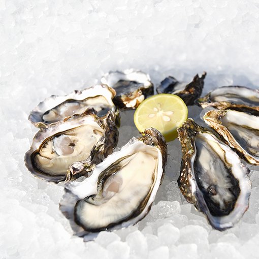 【産地直送】瞬間活き〆 大崎上島産 クレールオイスター12個入 ファームスズキ 殻付きかき 瞬間冷凍