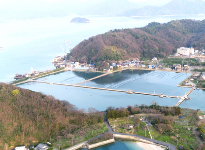 【産地直送】瞬間活き〆 大崎上島産 クレールオイスター12個入 ファームスズキ 殻付きかき 瞬間冷凍