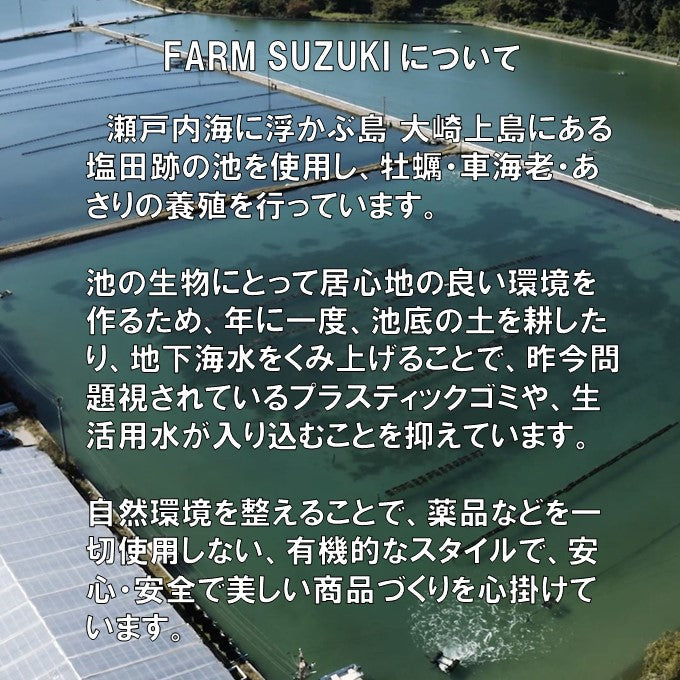 ファームスズキ 塩田熟成牡蠣使用  牡蠣フライ 4個入 塩で食べるカキフライ 広島 名産