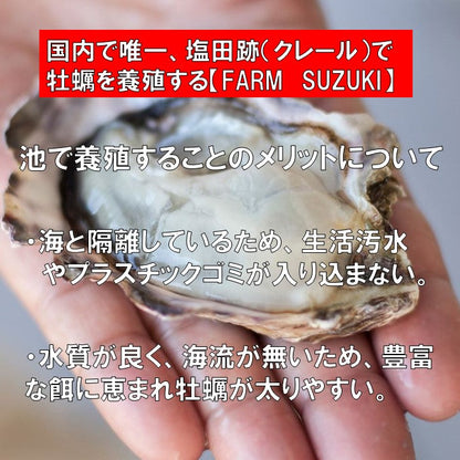 ファームスズキ 塩田熟成牡蠣使用  牡蠣フライ 4個入 塩で食べるカキフライ 広島 名産