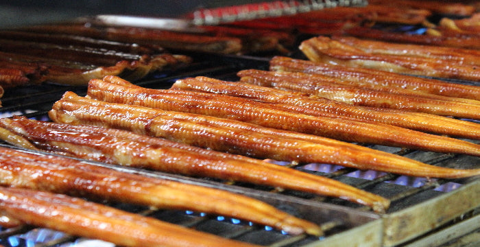 活き〆　焼きあなご　白焼き2尾　タレ焼き4尾